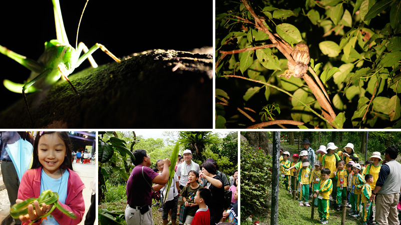 About San-fu Nature Centre