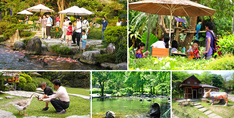 三富園區內的紫屋森林庭園照片