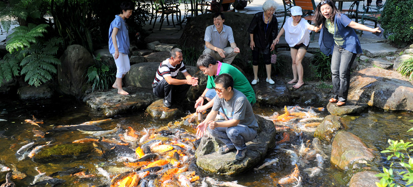 Fish Feeding＆Picture Souvenir