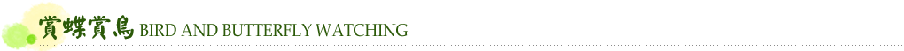 賞蝶賞鳥